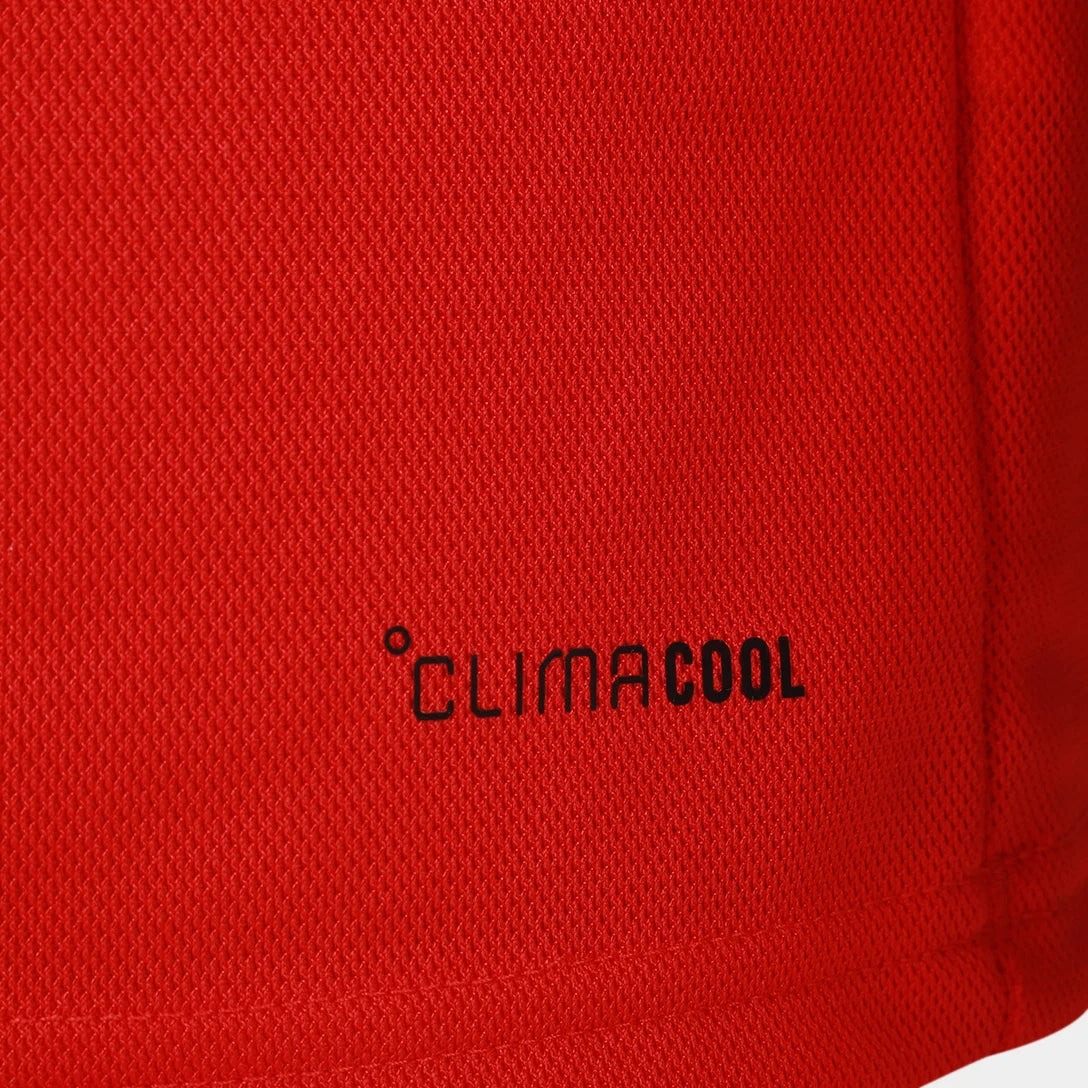 Camisa País de Gales Edição Especial 150 Anos Manga Longa